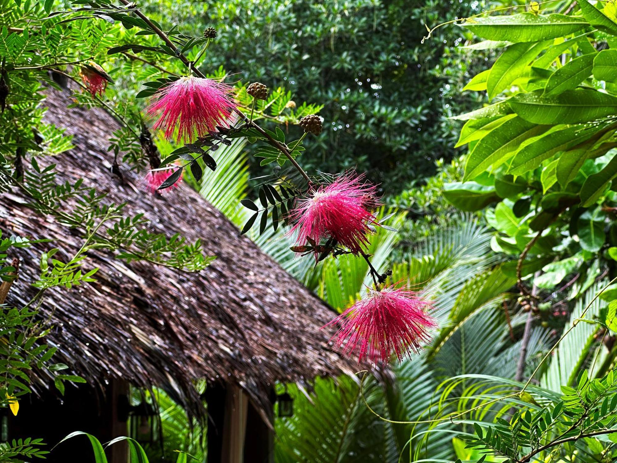 Dreamville Koh Phangan Thongsala Exterior photo